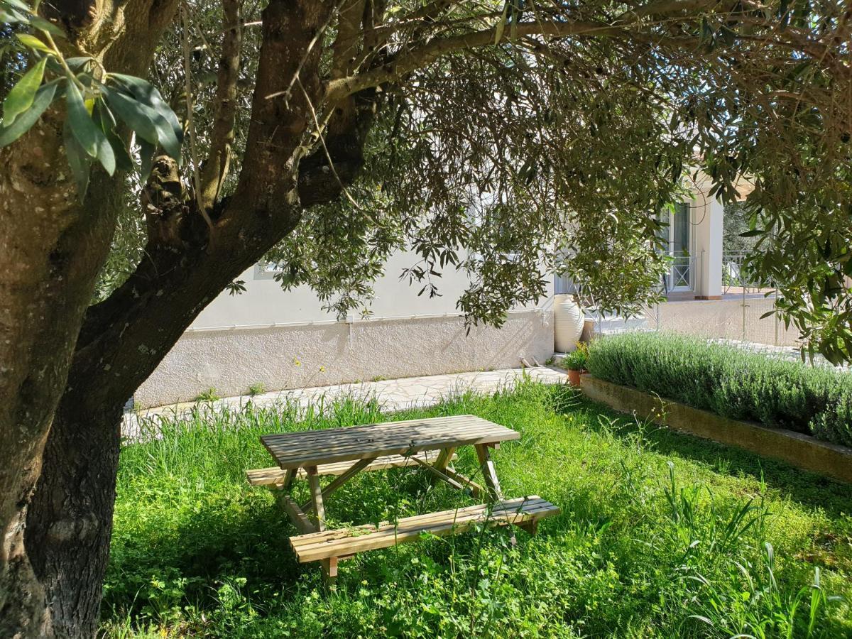 House Kassiopi